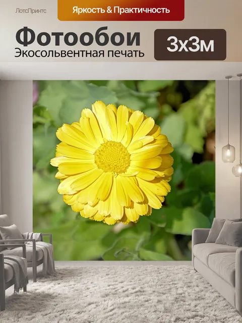 Фотообои Желтый цветок сад