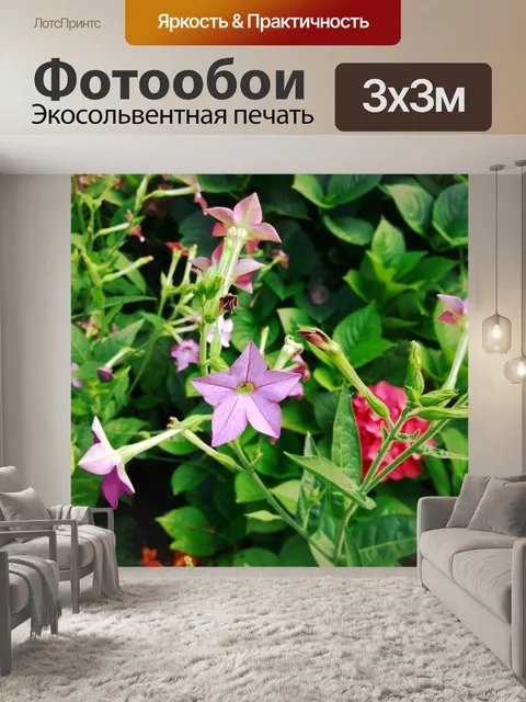 Фотообои Сад
