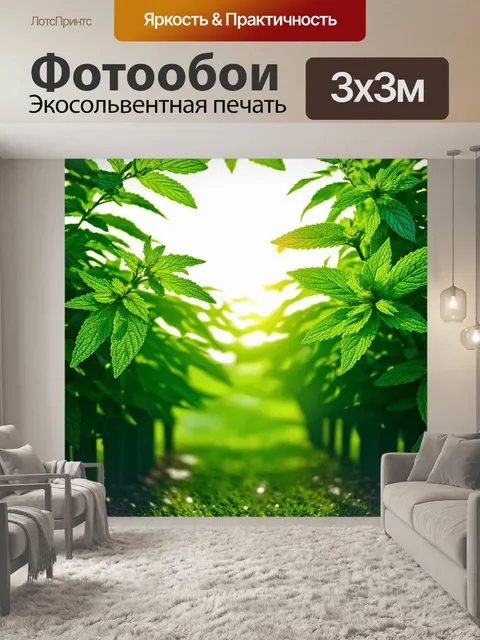 Фотообои мятный цвет изображают утреннее солнце, нежно проникающее сквозь мятные деревья