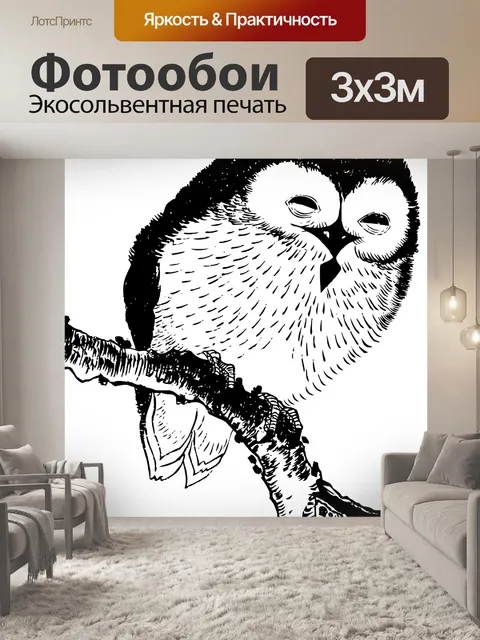 Фотообои Сова