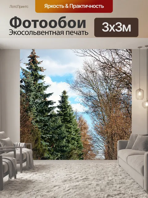 Фотообои Дорога
