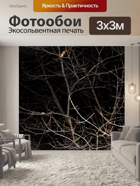 Фотообои Темный