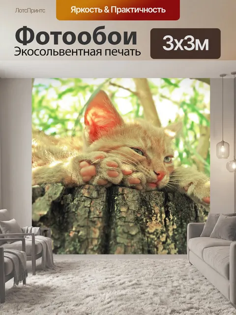 Фотообои Кошка
