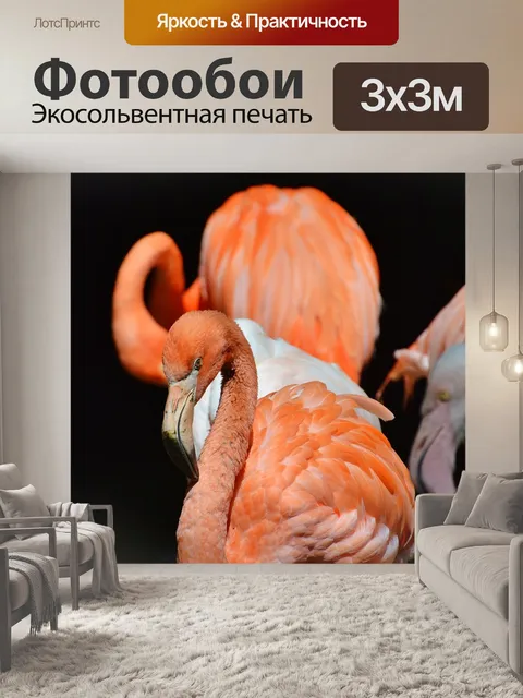 Фотообои Фламинго