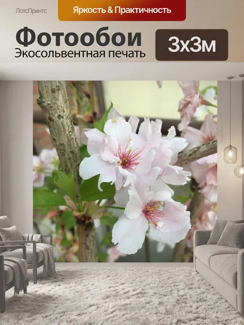 Фотообои Сакура