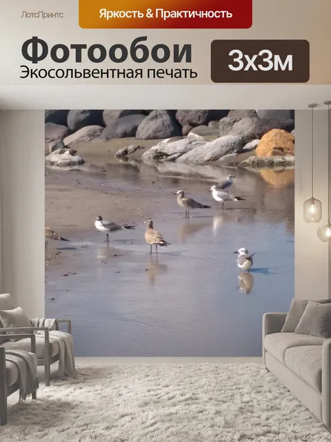 Фотообои Птицы