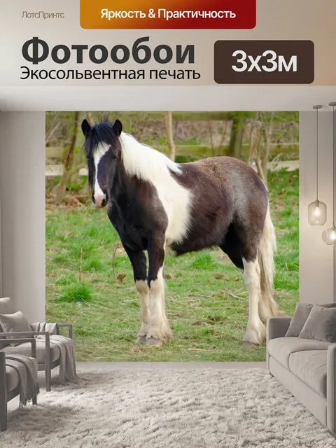 Фотообои Лошадь