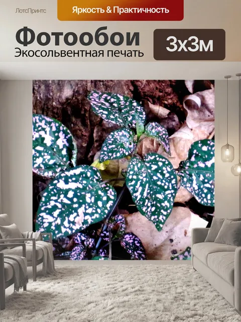 Фотообои крапинку листья
