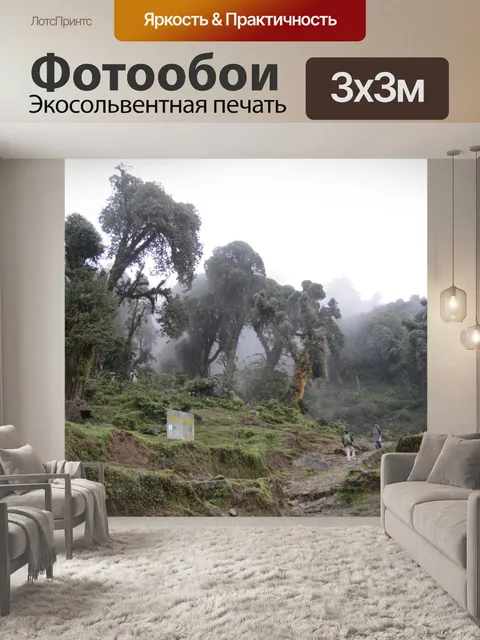 Фотообои Туман