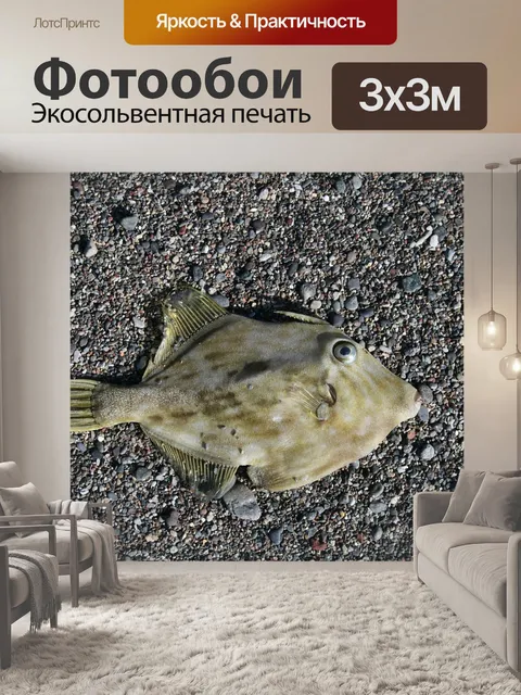 Фотообои Рыбы
