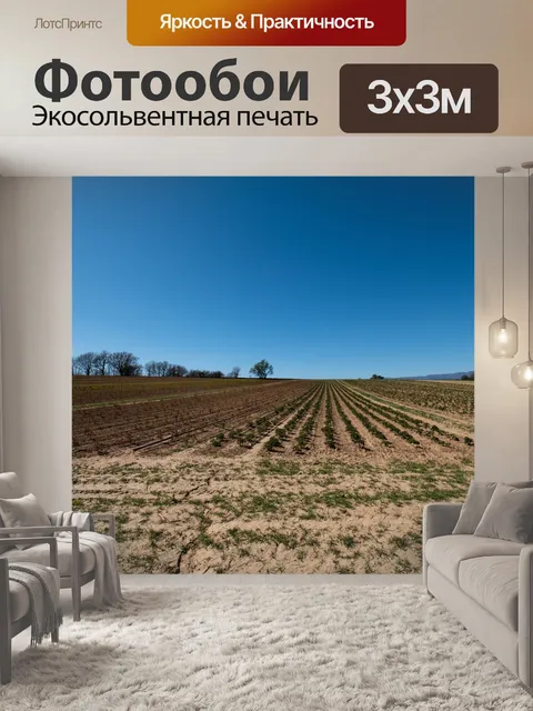 Фотообои Поле