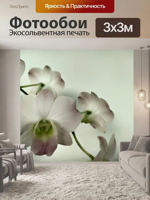 Фотообои Орхидеи