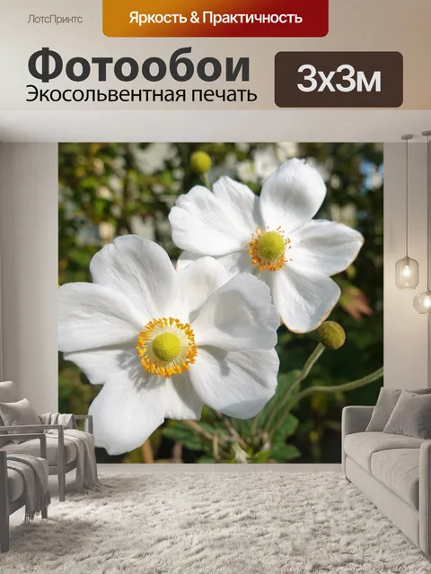 Фотообои Цветы
