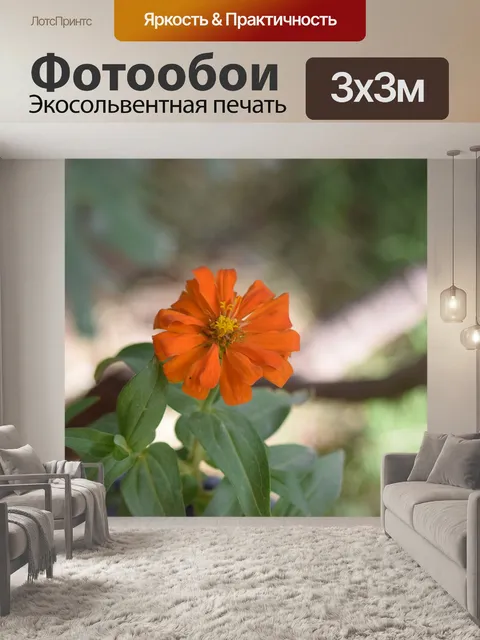 Фотообои Цветы