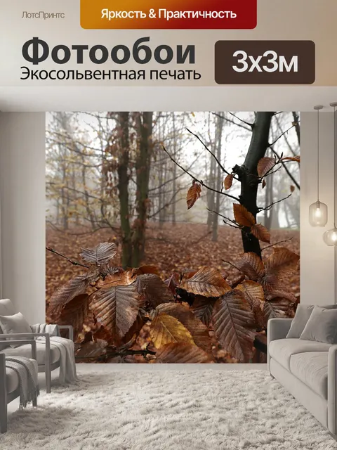 Фотообои Осень