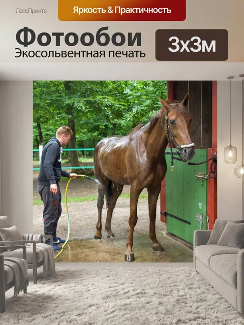 Фотообои Лошадь