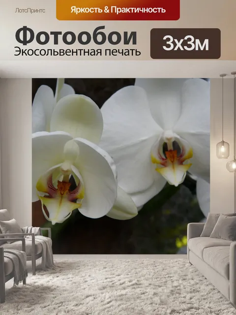 Фотообои Orchid