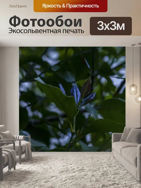 Фотообои Лес