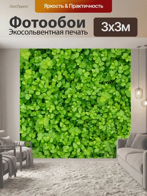 Фотообои Зеленые листья