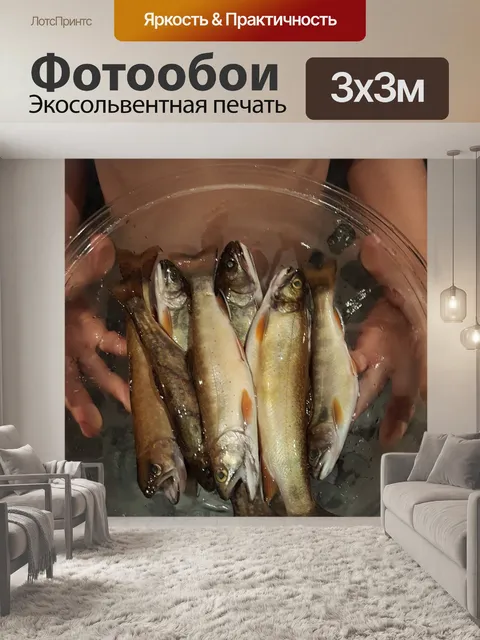 Фотообои Ловит рыбу