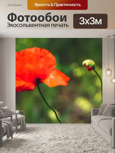 Фотообои Маки