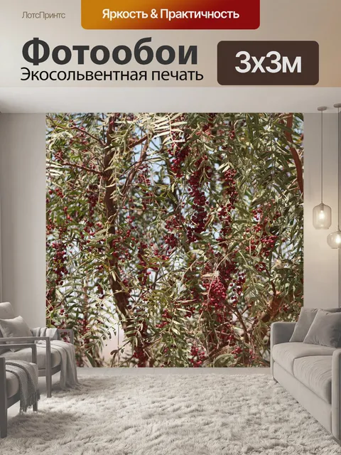 Фотообои Дерево