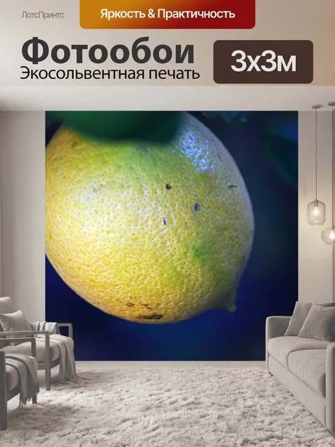Фотообои близкий вид созревающего лимона