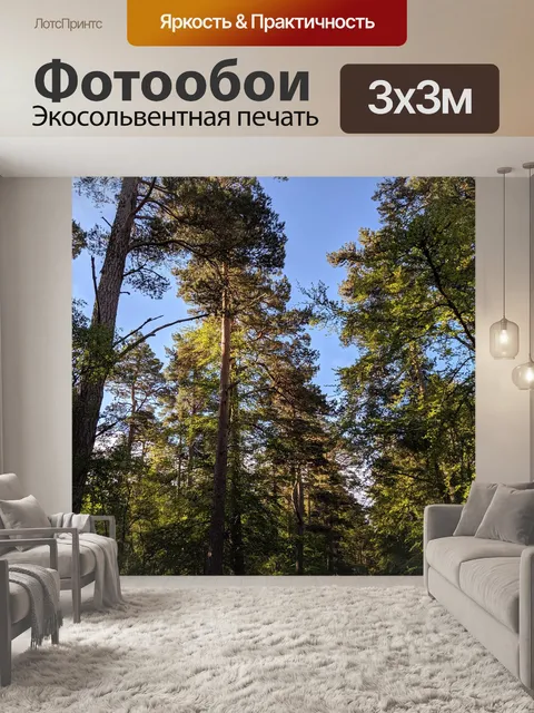 Фотообои Деревья