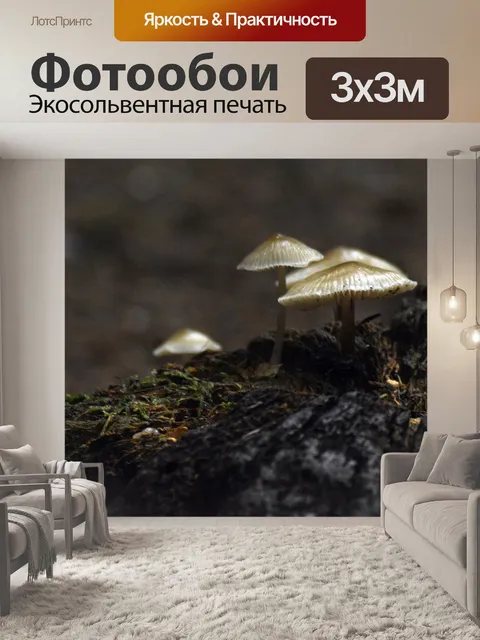 Фотообои Грибы