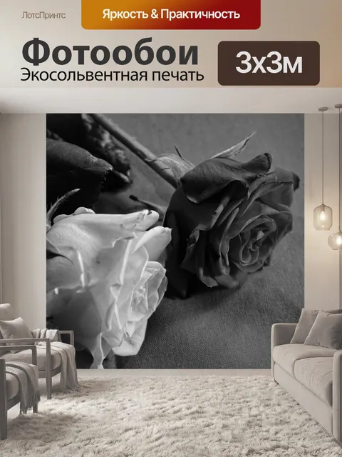 Фотообои Роза