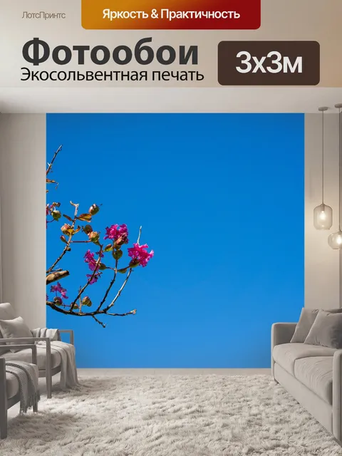 Фотообои Цветы