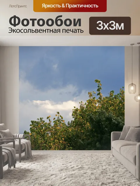 Фотообои Дерево с облачного неба