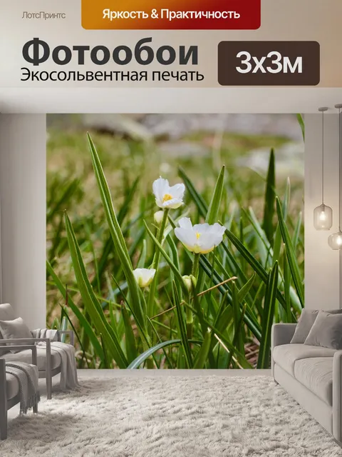 Фотообои Цветы