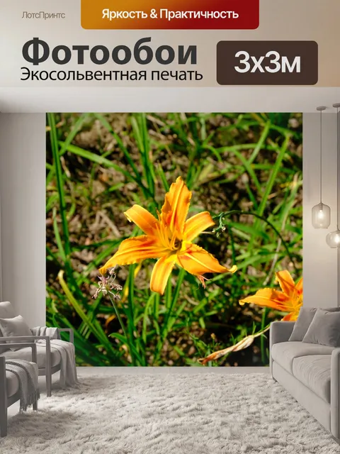 Фотообои Цветы