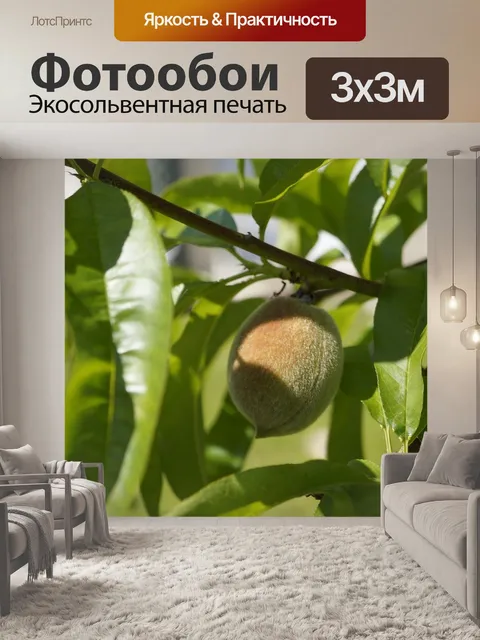 Фотообои Рыбалка