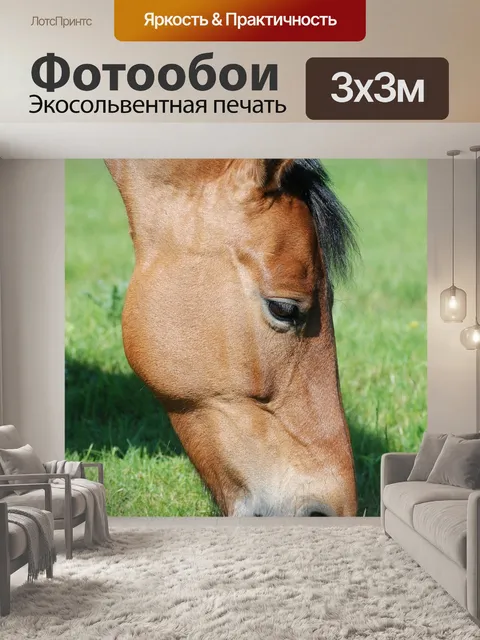 Фотообои Лошадь
