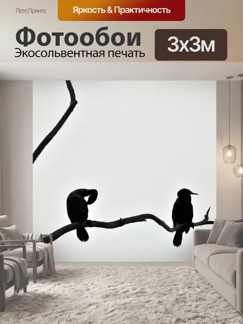 Фотообои Пара ушастого баклана
