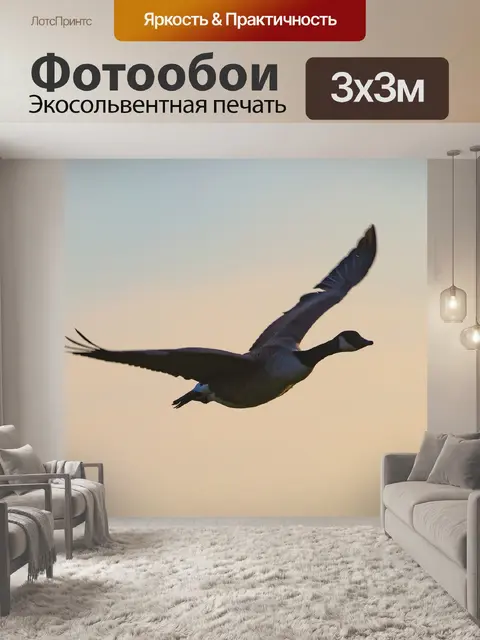 Фотообои Гусь