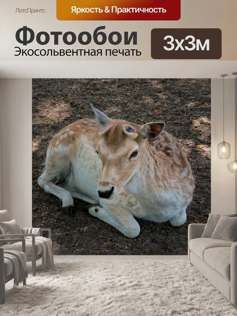 Фотообои Олень