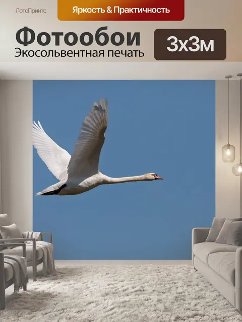 Фотообои Птица