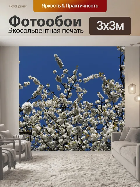 Фотообои Блоссом