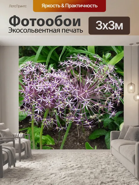 Фотообои Цветы
