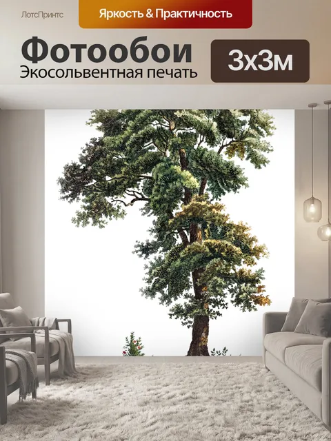 Фотообои Дерево
