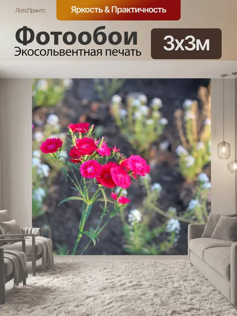 Фотообои Цветы