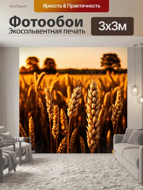Фотообои поле созревающего зерна на закате