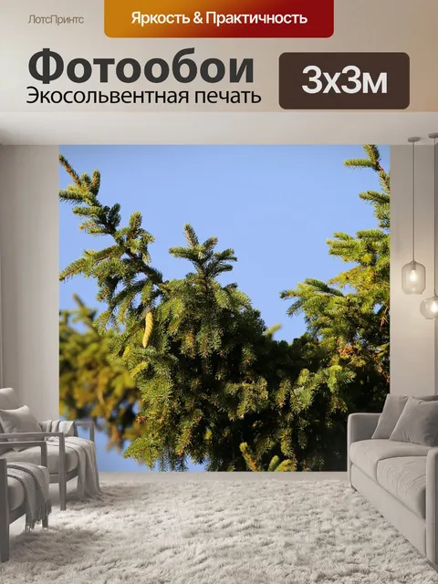 Фотообои Дерево