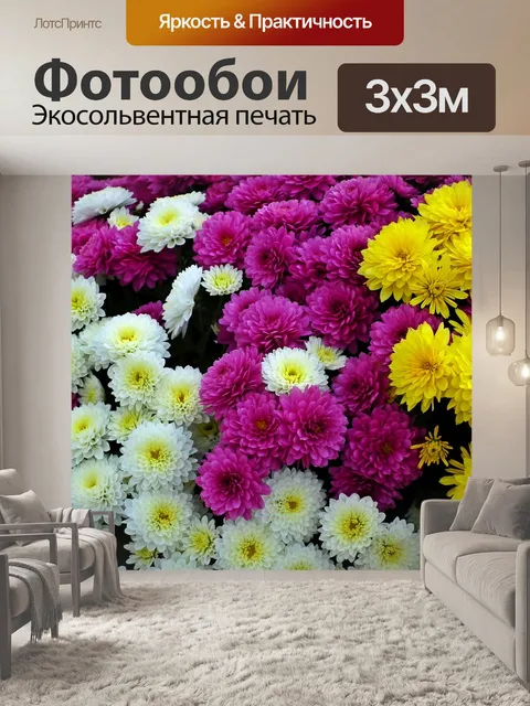 Фотообои Хризантемы