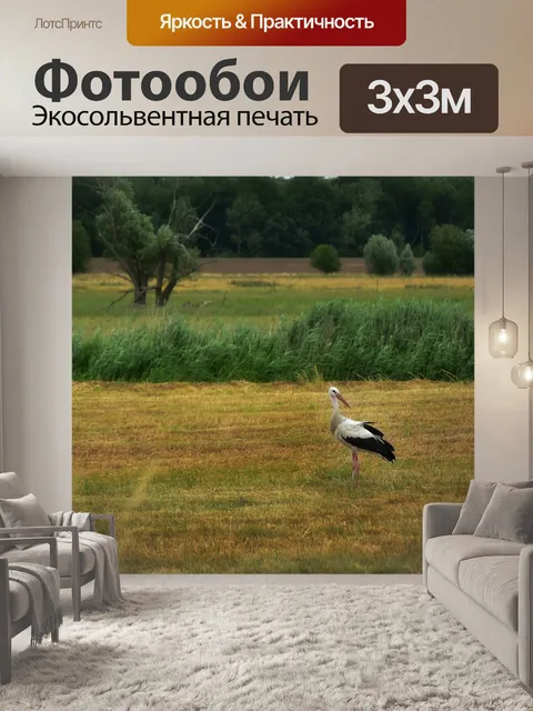 Фотообои Аист