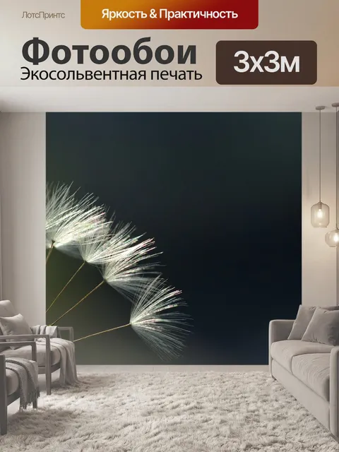 Фотообои Одуванчик