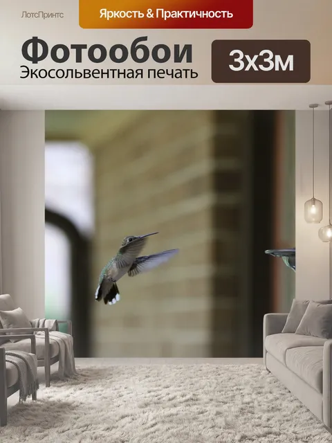 Фотообои Колибри